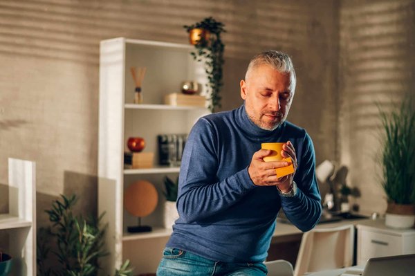 Quel type de brise-soleil orientable est le plus efficace pour une façade sud ?