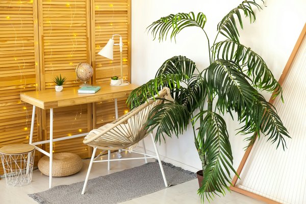 Fabricant de meubles en bois design : profitez de son savoir-faire artisanal pour chaque commande